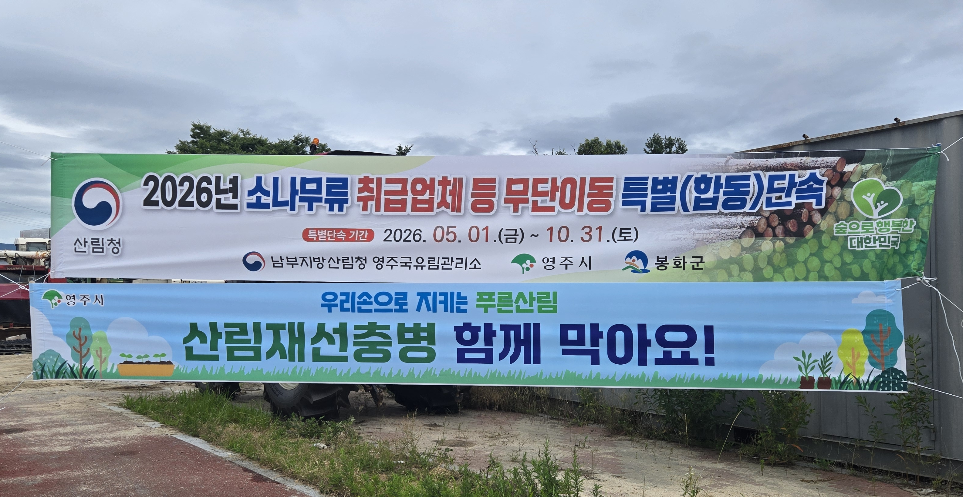 영주국유림관리소, 소나무류 무단 이동 특별단속 시행 -10월부터 무단 이동 시 과태료 및 형사 처벌…강력 대응 시사- 이미지1