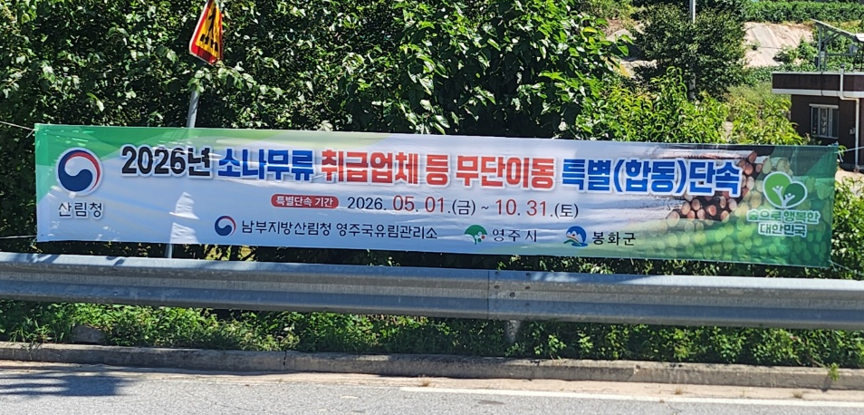 영주국유림관리소, 소나무류 무단 이동 특별단속 시행 -10월부터 무단 이동 시 과태료 및 형사 처벌…강력 대응 시사- 이미지2