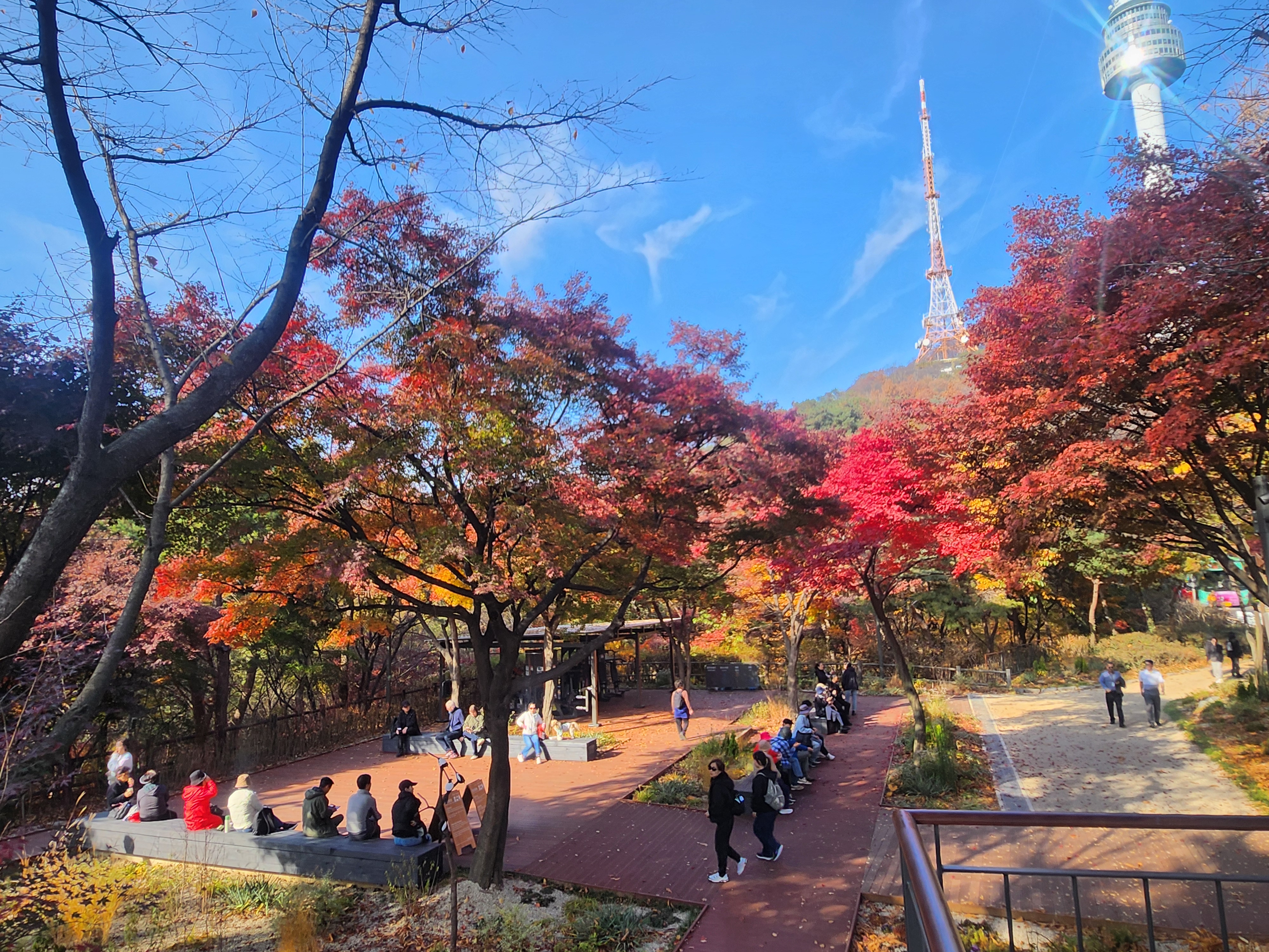 국유림, 민·관 협력으로 공익 가치 더한다… 북부지방산림청, 공동산림사업 31건 추진 이미지1